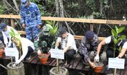 Hari Lingkungan Hidup Sedunia, Kemendikdasmen Ajak Gerakan Sekolah ASRI dan Tanam Mangrove